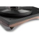 Gold Note Pianosa Turntable