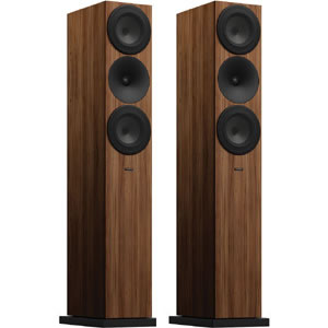 Floorstanding Speakers