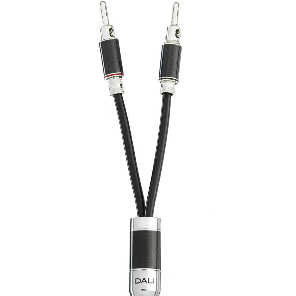 Dali Connect SC RM230ST speaker cables Igloo Audio