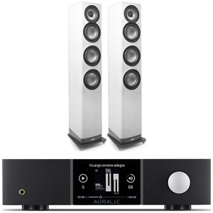 Auralic Altair G1.1 + ELAC Navis ARF-51